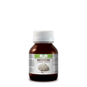 Erifungus