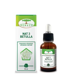 NAT 3 Betulla