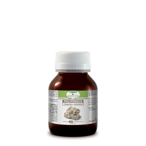 Polyfungus